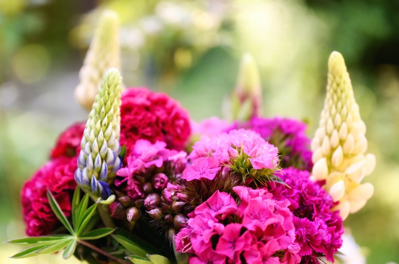 fleuriste-GRASSE-min_flowers-5369794